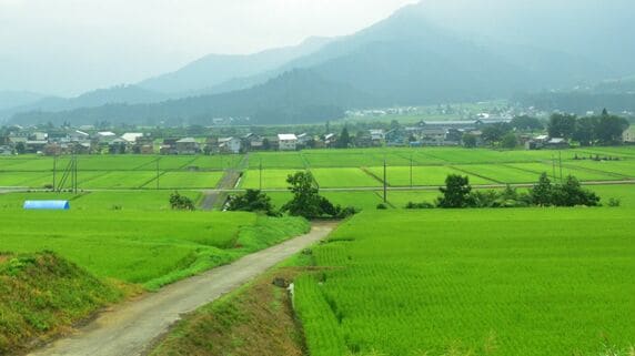 私はもう“よそ者”なんですね…年収470万円・資産3,000万円・都会暮らしに疲れ果てた51歳女性。思い出いっぱい・大好きな地元へ〈Uターン移住〉も、わずか半年で東京に戻ったワケ