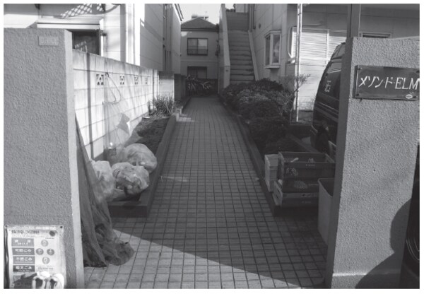 （花・ゴミ箱がないエントランス）