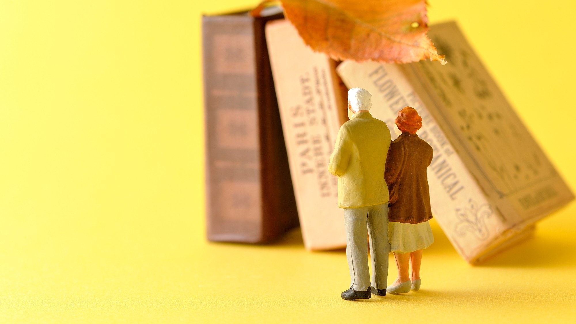 僕らは夫婦じゃない…事実婚の夫が認知症で相続はどうなる?