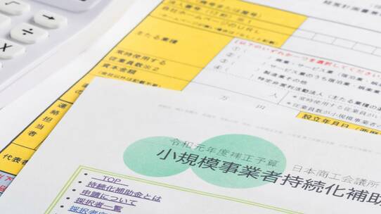 補助金と無利子融資が招く「ゾンビ企業」問題――中小企業支援の副作用【公認会計士が解説】