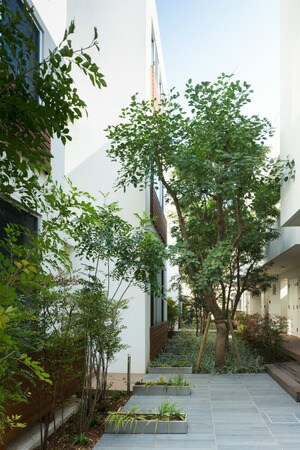 中庭を配置し、どの部屋からも緑が楽しめる