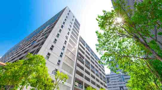 高所得な医者・証券マンまで投資に走る、日本経済の厳しい事情