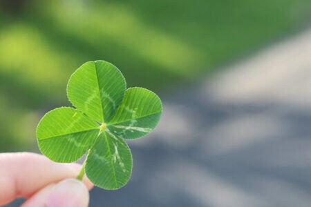 （※画像はイメージです／PIXTA）