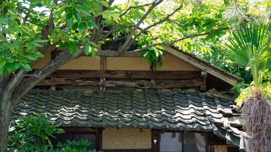 人が住んでいないと相続税が高くなる!「空き家の相続税対策」を税理士が解説