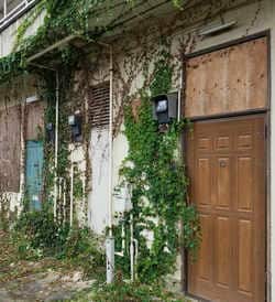 （※写真はイメージです／PIXTA）