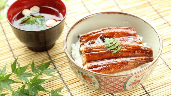 うなぎの蒲焼※画像はイメージです。実際の返礼品とは異なります