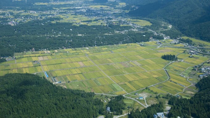 農地の種類によって異なる「農地以外への転用」の可能性