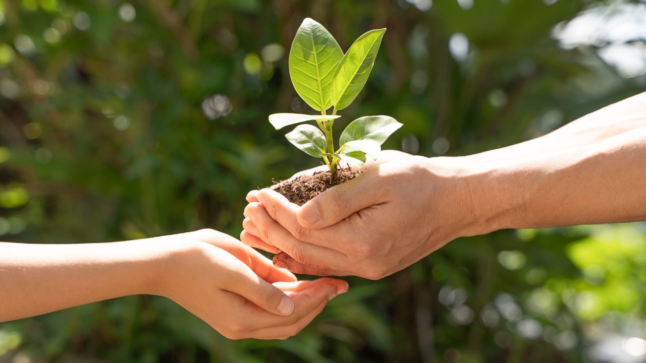 「SDGs疲れ」の空気から考える、本当のサステナビリティ－「検索データ」から見る、日・米・欧のSDGsギャップ