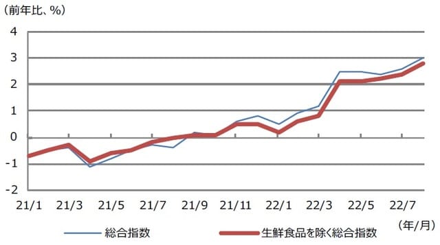 （注）データは2021年1月から2022年8月。 （出所）Bloombergのデータを基に三井住友DSアセットマネジメント作成
