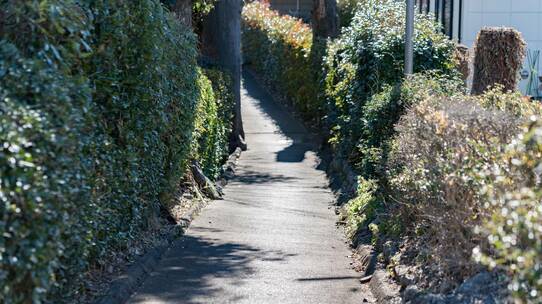【地主の相続対策】私道に「特定路線価」の申請をしたことで、評価減を実現したケース