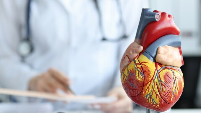  CBDは心臓不整脈を治療できますか?