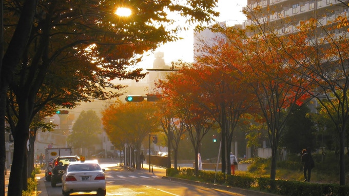 再生が必要な第一世代マンション　区分所有者が取るべき行動