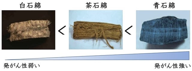 写真：国立科学博物館