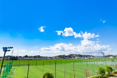 （※画像はイメージです／PIXTA）