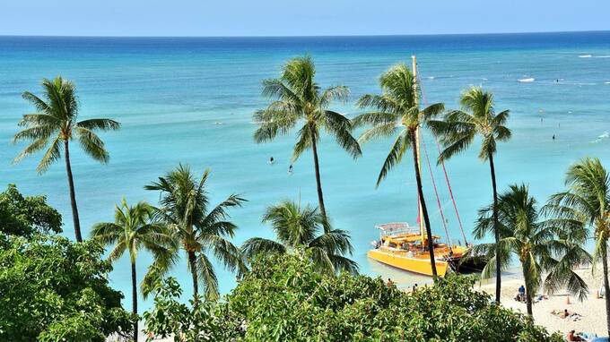 憧れの海外リゾート地「単身者向け賃貸・投資用物件」の現況