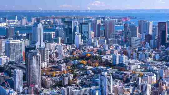 大学教授が指南する、資産形成のポイント「不動産取引」基礎編
