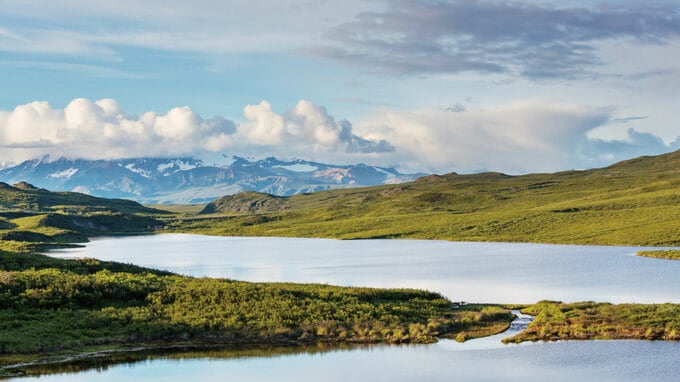 多忙な研究者が「北極の生き物たちの物語」を執筆した理由