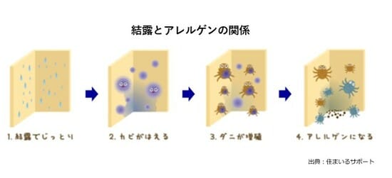 【図表7】カビダニ図