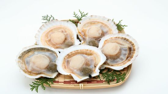 青森のホタテ※画像はイメージです。実際の返礼品とは異なります