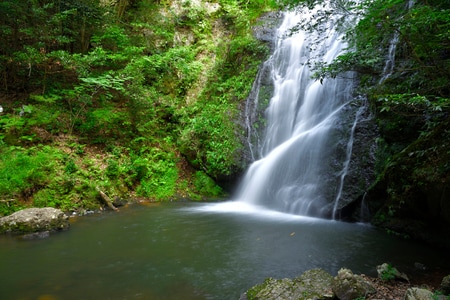 （写真はイメージです／PIXTA）