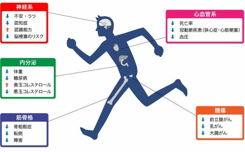 改変：European Heart Journal（2015） 36,1445-1453