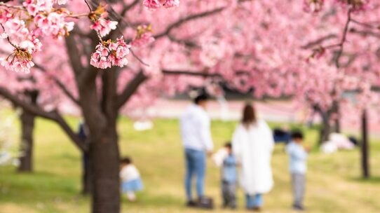 「子供には、英話ができるようになってほしい…」…日本国内「英語教育のために」住みたい街