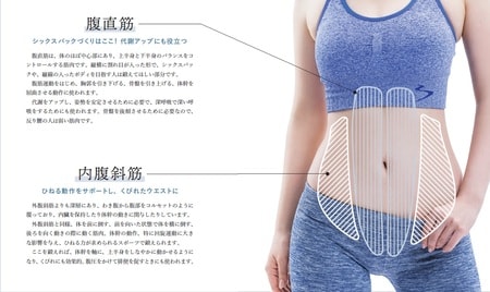 腹直筋と内腹斜筋