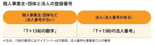［図表6］個人事業主・団体と法人の登録番号