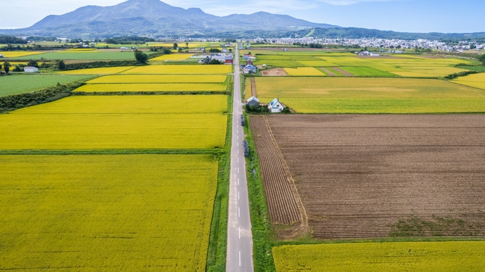 土地は継いでも農業はやりません！「農地を相続するとき」に気を付けるべきポイント【税理士の解説】