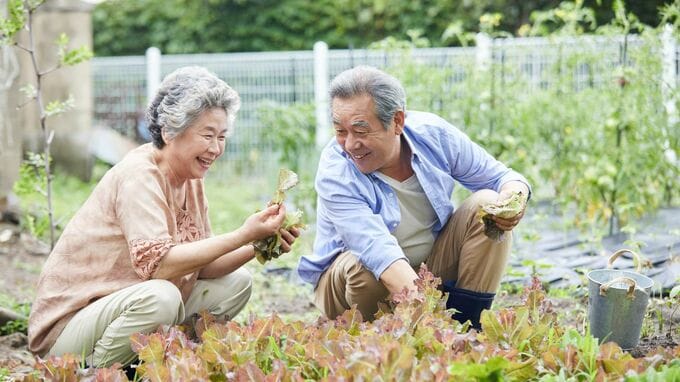 庭で家庭菜園、大理石キッチン、ヒノキ風呂…退職金2,000万円で“郊外”に理想の終の棲家を手に入れた「年金22万円・60代夫婦」。1年後、遊びにきた娘も思わず首を傾げる「あまりに異様な生活実態」【FPが解説】