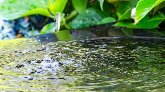 野の虫の音を聞き、冷涼な水琴窟の音を楽しむ…はるか昔より 「自然音」を楽しんできた「日本人特有」の感覚