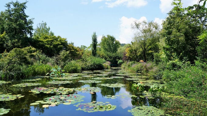 はね上がる価格･･･モネの絵画が持つ「価値と魅力」