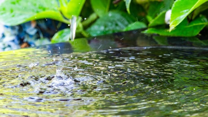 野の虫の音を聞き、冷涼な水琴窟の音を楽しむ…はるか昔より 「自然音」を楽しんできた「日本人特有」の感覚