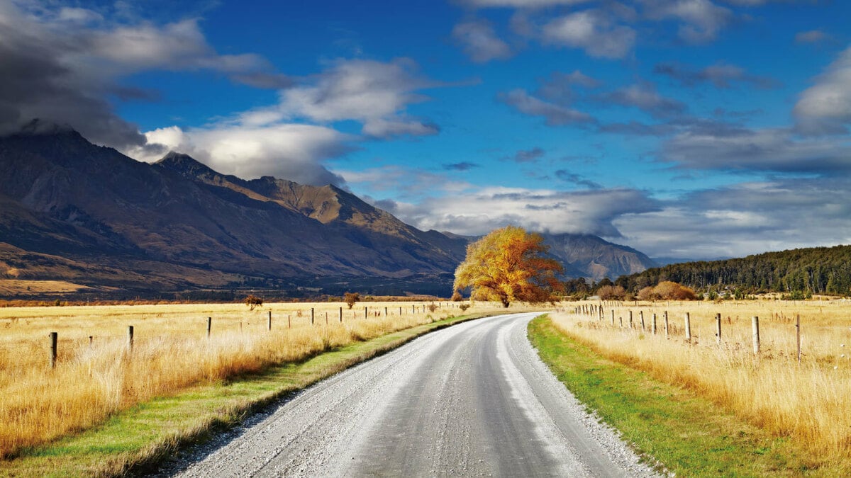 牧草地が新興住宅街に…開発が進むNZ「プケコヘ」の近況 | ゴールド