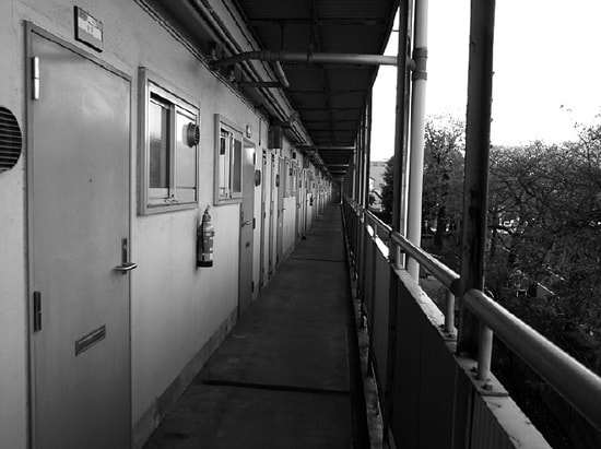 （2013年11月撮影）