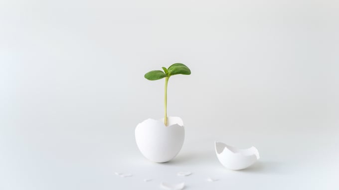 子会社サポートで留意したい「同族会社行為判断」の基準