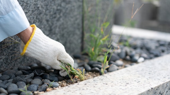 理事長みずから草むしりで〈月7万円〉節約…タワマン管理の知られざる実態とは!? 広告代理店で鍛えられた「対応力」が発揮されたワケ