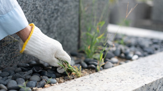 理事長みずから草むしりで〈月7万円〉節約…タワマン管理の知られざる実態とは!? 広告代理店で鍛えられた「対応力」が発揮されたワケ