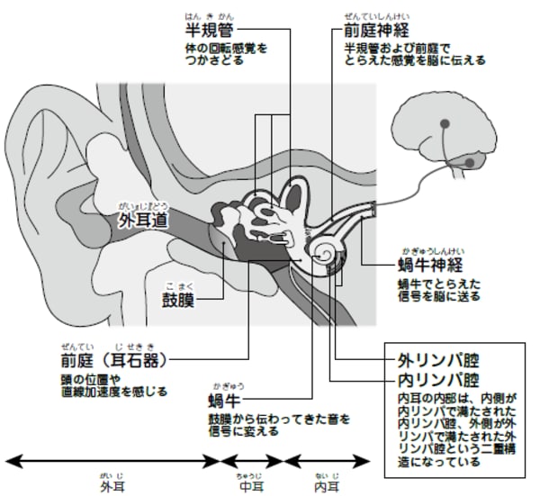 出典:日研化学株式会社「めまい イラストレイテッド」