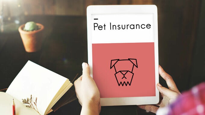ペット保険、加入広がる 保険に入っていると…