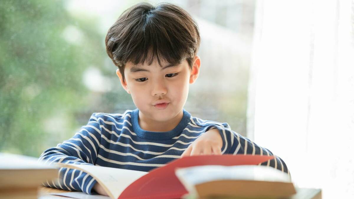 知育、親の教材（本＋DVD）「子供を医者する」幼児教室ひまわり 塾長 熊野貴文氏 知育、親の教材（本＋DVD）「子供を医者する」幼児教室ひまわり