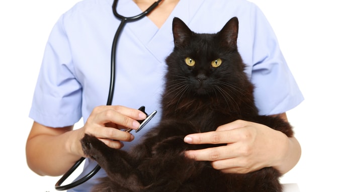 病院の認知度を高める「内覧会」の活用法とは？