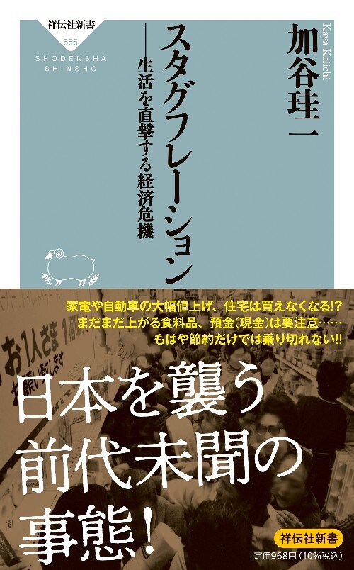 スタグフレーション――生活を直撃する経済危機