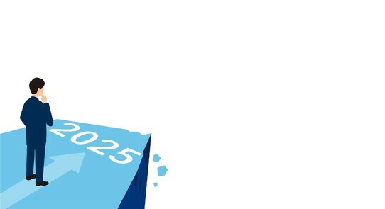 2025年の崖とは?日本企業に迫る危機の内実、課題とその対策