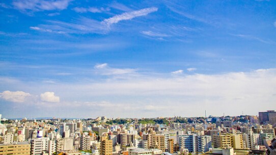 相続税対策には「節税」だけでなく「収益」の観点も不可欠
