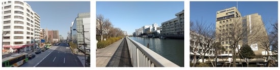 写真左より、大通り沿いにはオフィスビルとマンションが建ち並ぶ／運河沿いには緑道が整備され、緑地環境も整っている／行政・ビジネスの中心地であるため、区役所などの公共機関も集積