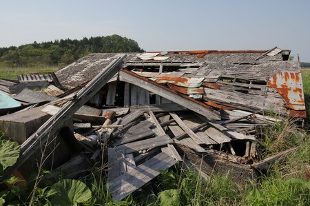 （※写真はイメージです／PIXTA）