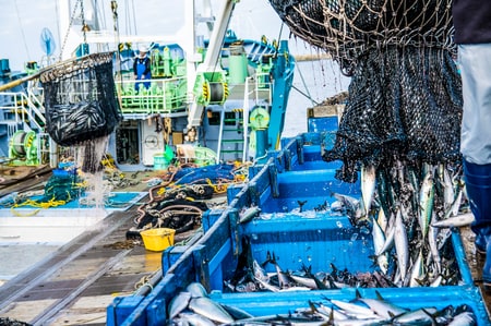 （※写真はイメージです／PIXTA）