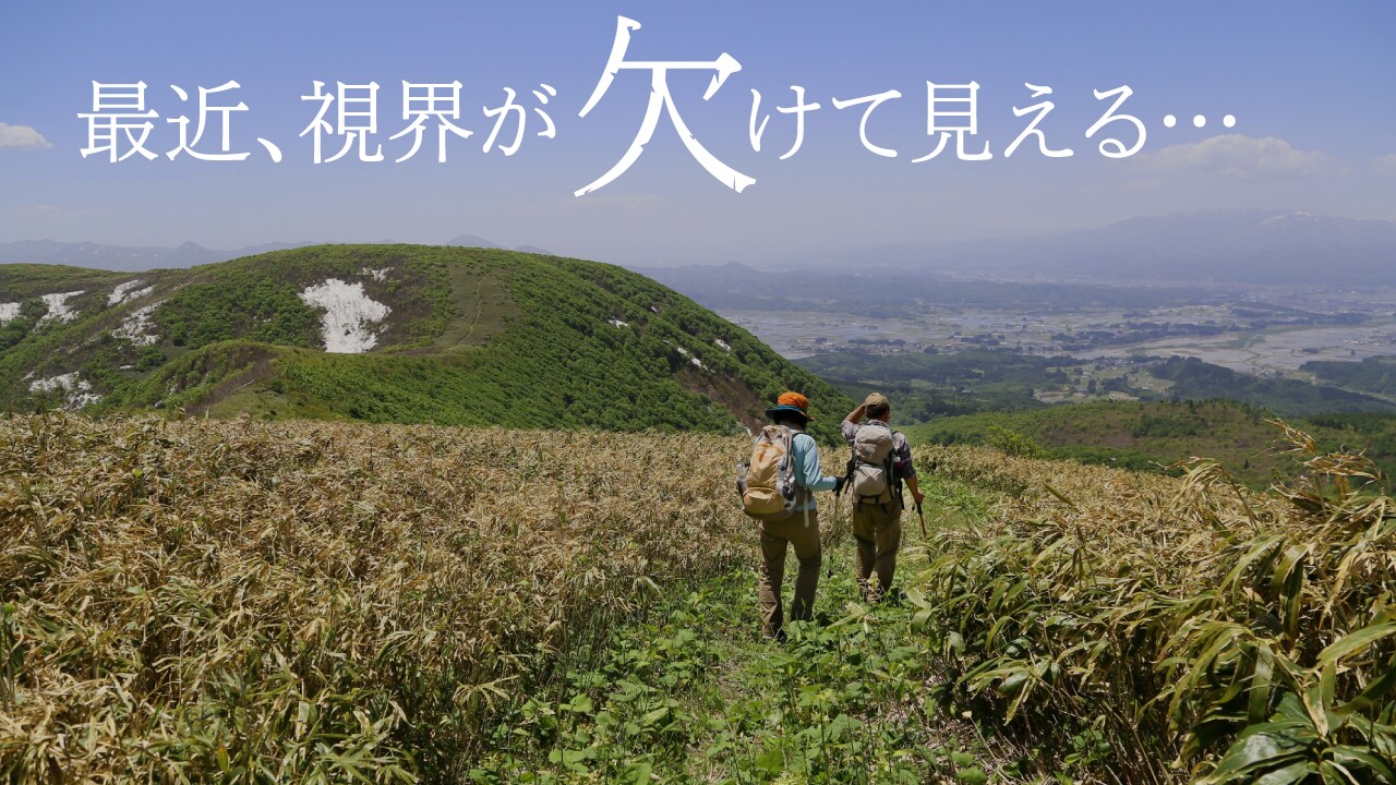 はんがい先生が教える「加齢黄斑変性」Q&A