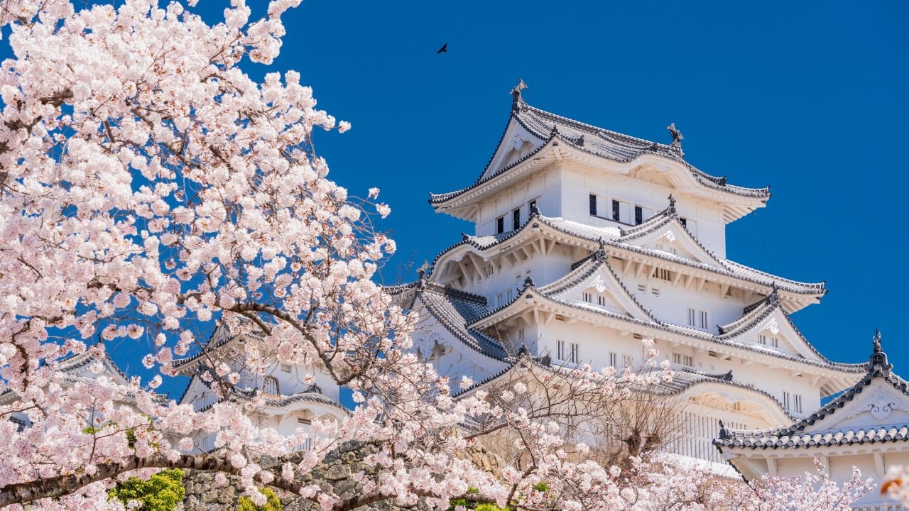 訪日外国人も魅了！歴史とロマンが詰まった「日本の名城ランキング」TOP10 | スマートニュース